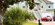 IMG_2319.jpeg