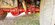 IMG_2432.jpeg