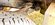 IMG_2430.jpeg