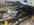 IMG_4313-compressed.jpeg