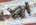 IMG_7572.jpeg