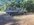 IMG_3750.jpeg