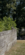 IMG_3717.png