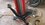 IMG_20260618_133046017.jpg