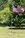 IMG_1659.jpeg
