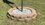 IMG_1661.jpeg