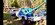 IMG_3354.jpeg