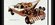 IMG_3353.jpeg
