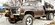 IMG_3507.jpeg