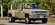 IMG_3391.jpeg