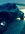 IMG_2238.jpeg