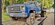 IMG_3380.jpeg