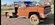 IMG_3493.jpeg
