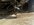 IMG_5591.jpeg
