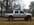 IMG_0409.jpeg