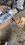 IMG_0179.jpeg
