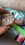 IMG_0177.jpeg