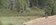 20260620_095644.jpg