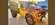 IMG_4292.jpeg