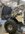 IMG_1526.jpeg