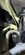 IMG_3744.jpeg