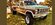 IMG_4334.jpeg