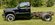 IMG_4387.jpeg