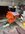IMG_8006.jpeg