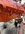 IMG_8042.jpeg