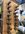 IMG_8091.jpeg