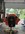IMG_8088.jpeg