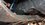 IMG_20260625_123944779_MP.jpg