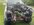 IMG_8580.jpeg