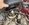 IMG_6571.jpeg