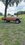 IMG_0215.jpeg