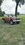 IMG_0216.jpeg