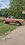 IMG_0218.jpeg