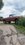 IMG_0217.jpeg