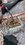 IMG_0224.jpeg