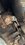 IMG_0222.jpeg