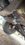 IMG_0226.jpeg