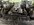 IMG_0265.jpeg