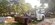 IMG_5554.jpeg