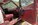 IMG_6587.jpeg