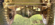 IMG_5839.png