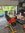 IMG_8230.jpeg
