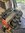 IMG_8228.jpeg