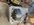 IMG_1536.jpeg