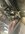 IMG_0810.jpeg