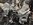 IMG_3474.jpeg